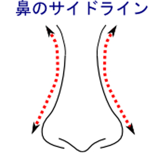 鼻のサイドライン