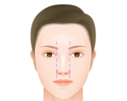 綺麗な鼻の形（鼻翼の幅が目と目の間の距離と同じ）